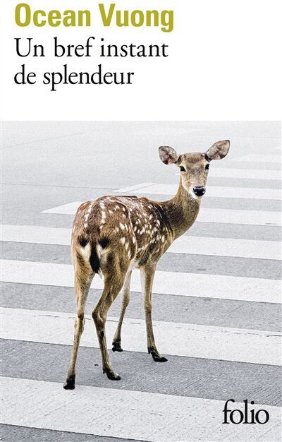 Ocean Vuong - Un bref instant de splendeur - Preis vom 19.10.2026 19:33:35 h