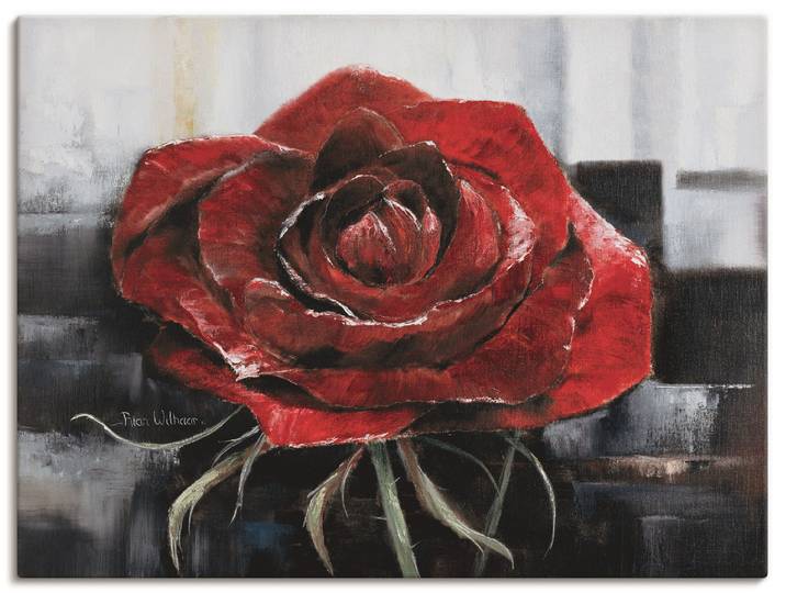 Leinwandbild ARTLAND Blühende rote Rose , rot (farbe bild(er): rot), B:120cm H:90cm, Bilder, Leinwandbild, auf Holzrahmen gespannt