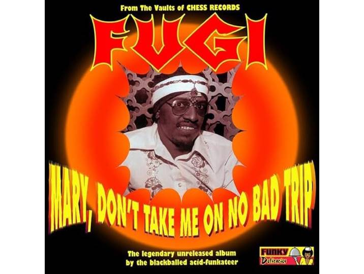 Mary, Don't Take Me On No Bad Trip