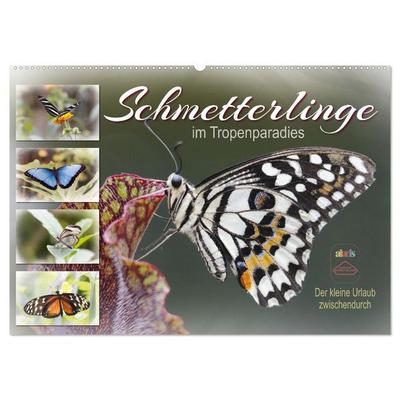 Schmetterlinge im Tropenparadies (Wandkalender 2027 DIN A2 quer), CALVENDO Monatskalender