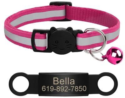 Uplifted Finds Customized Reflective Pet ID Collar With Nameplate rose 341