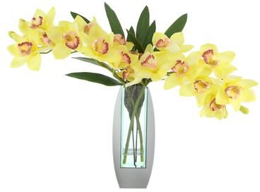 Creative Labs Orchid Arrangement in Mirror Vase - 24
