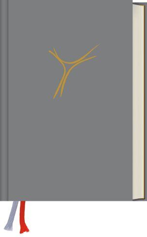 den (Erz-)Bischöfen Deutschlands und Österreichs und dem Bischof von Bozen-Brixen - Gotteslob. Katholisches Gebet- und Gesangbuch. Ausgabe für die Diözese Regensburg: Ausgabe Kunststoff grau - Preis vom 05.10.2026 03:47:11 h