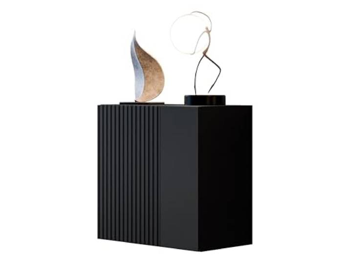 Mirjan24 Hängevitrine Cholon mit dekorativer Front (Schwarz) Kompakter Vitrinenschrank mit Push-to-Open-System und 2 Innenfächern für Deko und Wohnaccessoires