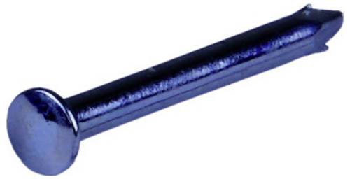 Pollmann Elektrotechnik 1930211 Linsenkopfnägel (Ø x L) 2mm x 50mm Stahl galvanisch verzinkt, gehärtet 100St.