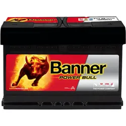 12V 77Ah 700A Banner Power Bull P7740 Starterbatterie