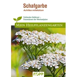 Schafgarbe - Mein Heilpflanzengarten