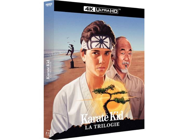 Karaté Kid - La Trilogie
