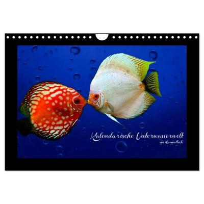 Kalendarische Unterwasserwelt (Wandkalender 2026 DIN A4 quer), CALVENDO Monatskalender