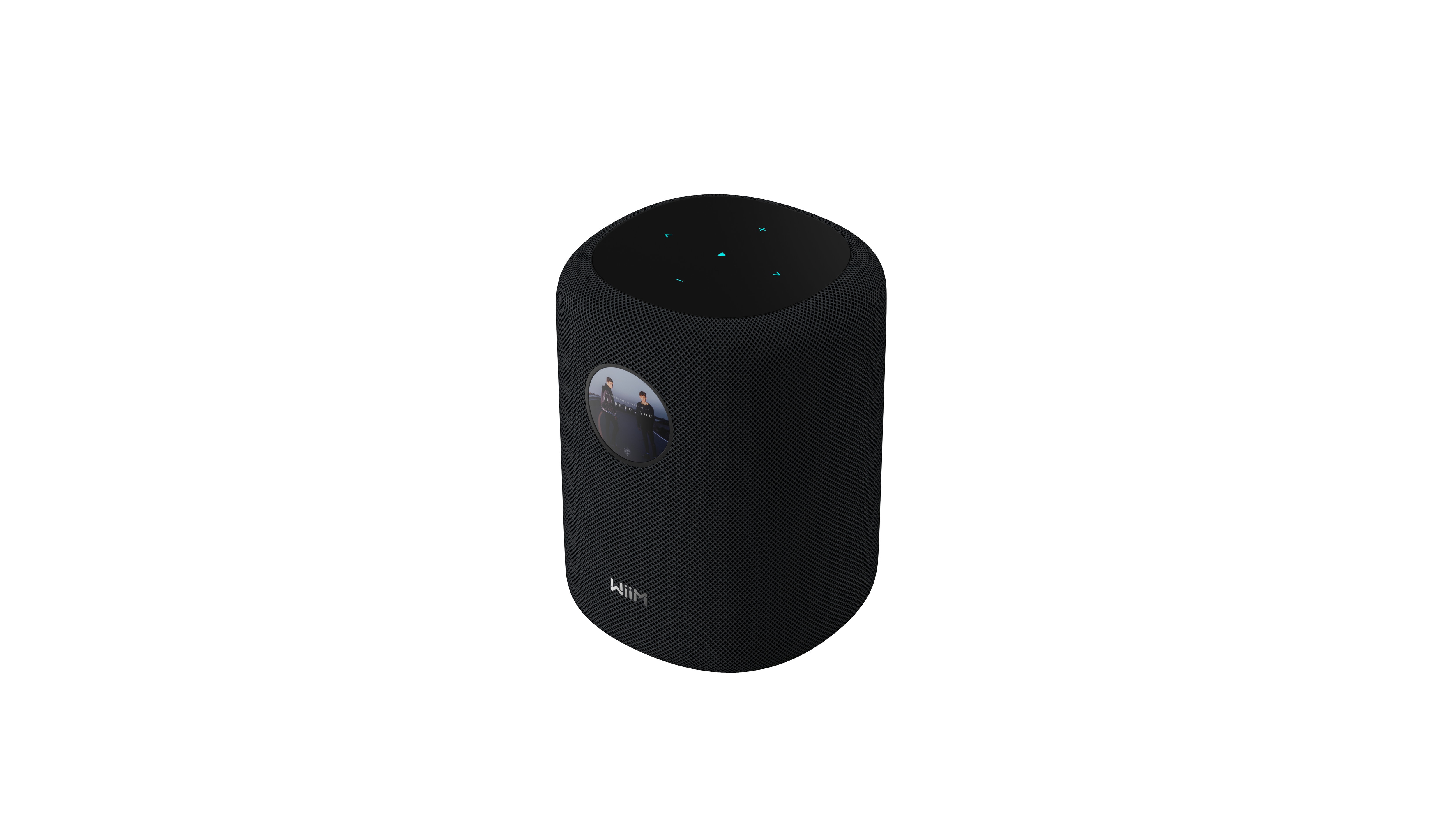 WiiM Sound Smart Speaker schwarz
