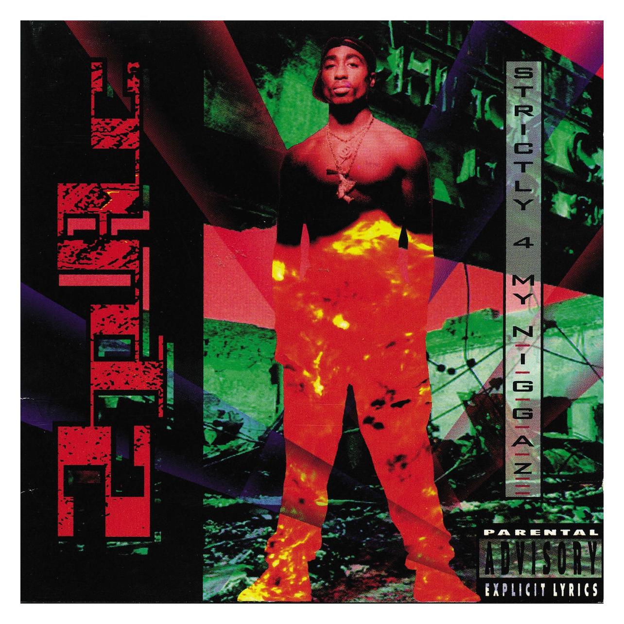 Interscope Strictly 4 My N.I.G.G.A.Z...(2LP) (Tupac Shakur) (40939374)