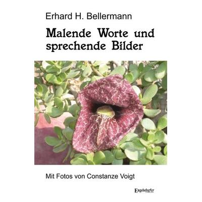 Malende Worte und sprechende Bilder, Taschenbuch von Erhard H. Bellermann, Engelsdorfer Verlag, 978-3-96940-409-6