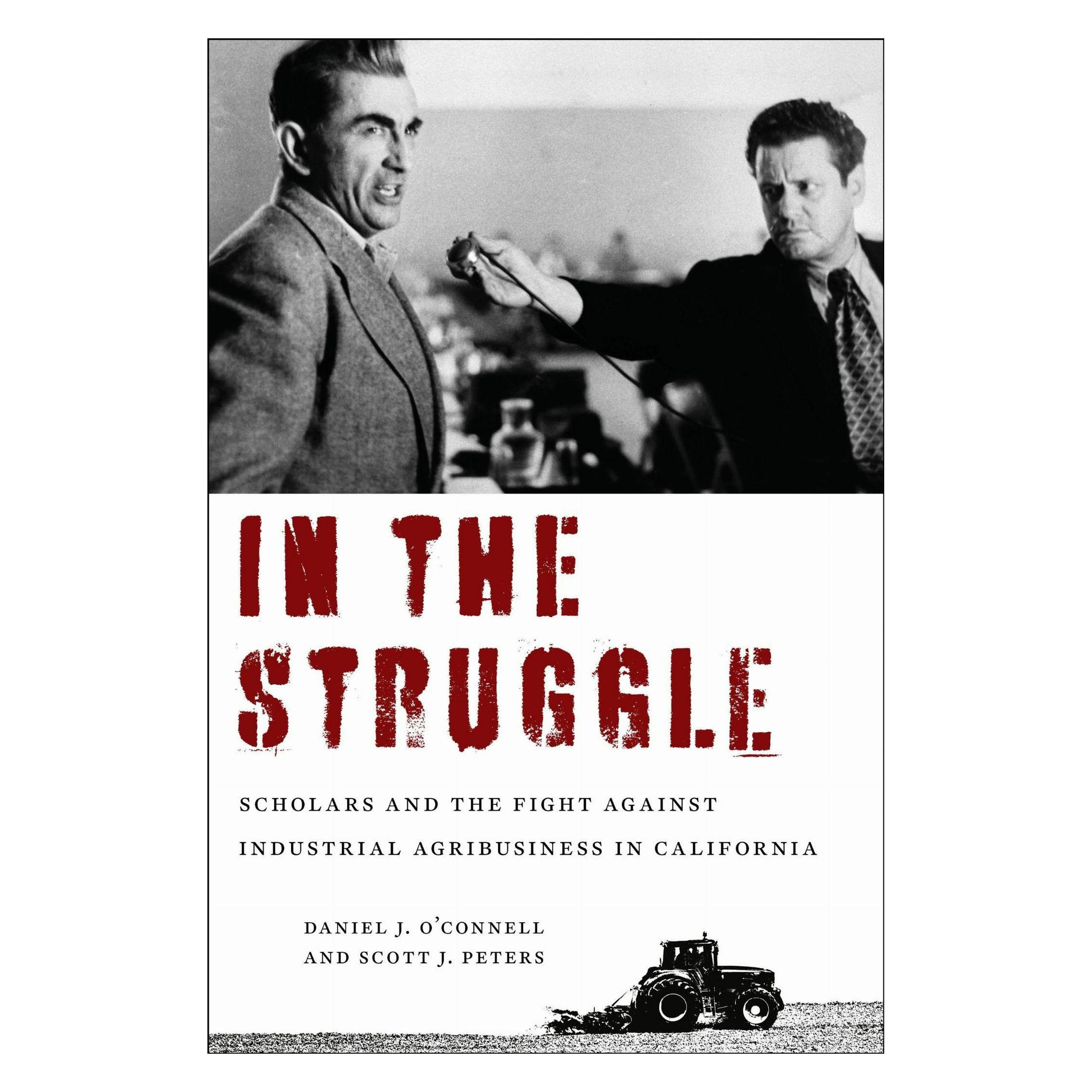 New Village Press In the Struggle (Englisch, Daniel J. O'Connell, Scott J. Peters) (68046994)