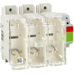 Schneider Electric GS1ND3 Gesicherter Trennschalter-Sockel GS1 3p 3 F, DIN, 250A