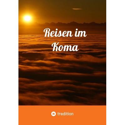 Reisen im Koma, Taschenbuch von Roman Hartl-Reiter, Tredition, 978-3-347-97961-1