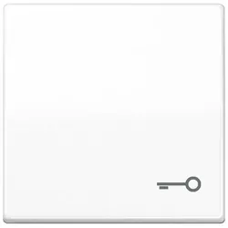 Jung Wippe Symbol TÜR aws AS 591 T WW AS591TWW