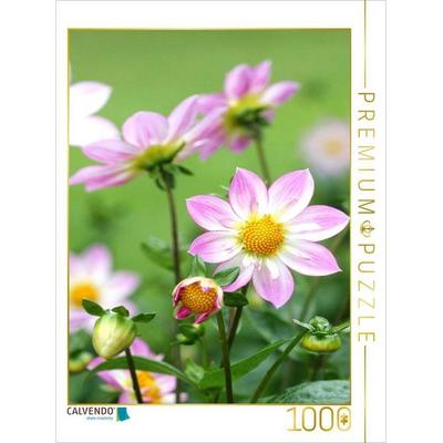 CALVENDO Puzzle Dahlien 1000 Teile Puzzle hoch | 1000 Teile Lege-Größe 64 × 48 cm Foto-Puzzle für glückliche Stunden