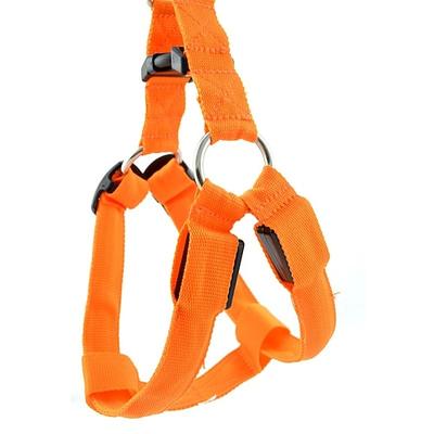 Hund Geschirre LED-Lampen Sicherheit Einfarbig