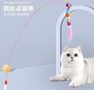Inspired Living ExtendReach Carbon Fiber Feather Wand Telescopic Cat Wand Toy For Interactive Play f