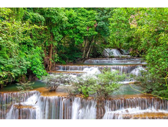 Papermoon Fluss im Wald