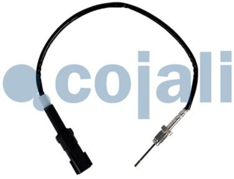 Sensor, Abgastemperatur COJALI 2262007