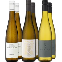 6er-Probierpaket »Best of Riesling«