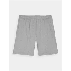 4F, Herren, Sporthose, Schnelltrocknende Trainingsshorts für Herren (normale Passform) (S), Mehrfarbig