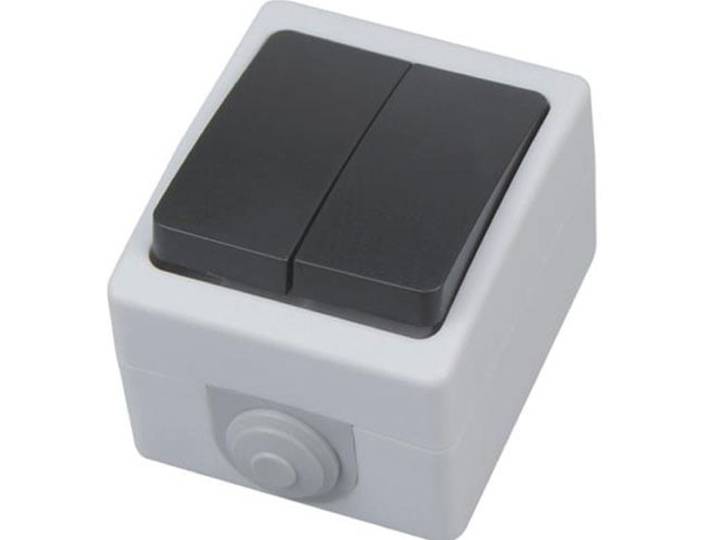 Serieschakelaar - Opbouw - Dubbel - Waterdicht IP54