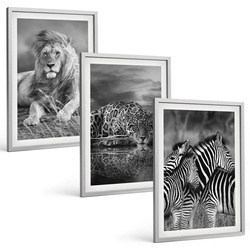 BILDER SET 3er Set - 40x60 cm Silberner Rahmen - Wildtiere der Savanne