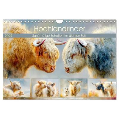 Hochlandrinder. Sanftmütige Schotten im dichten Fell (Wandkalender 2027 DIN A4 quer), CALVENDO Monatskalender