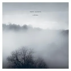 One little Independent, Schallplatten, Liminal (Poppy Ackroyd)