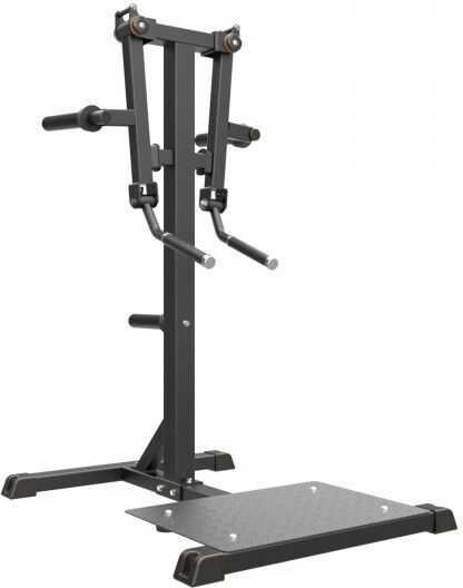 Taurus Pro Iso Standing Lat Raise