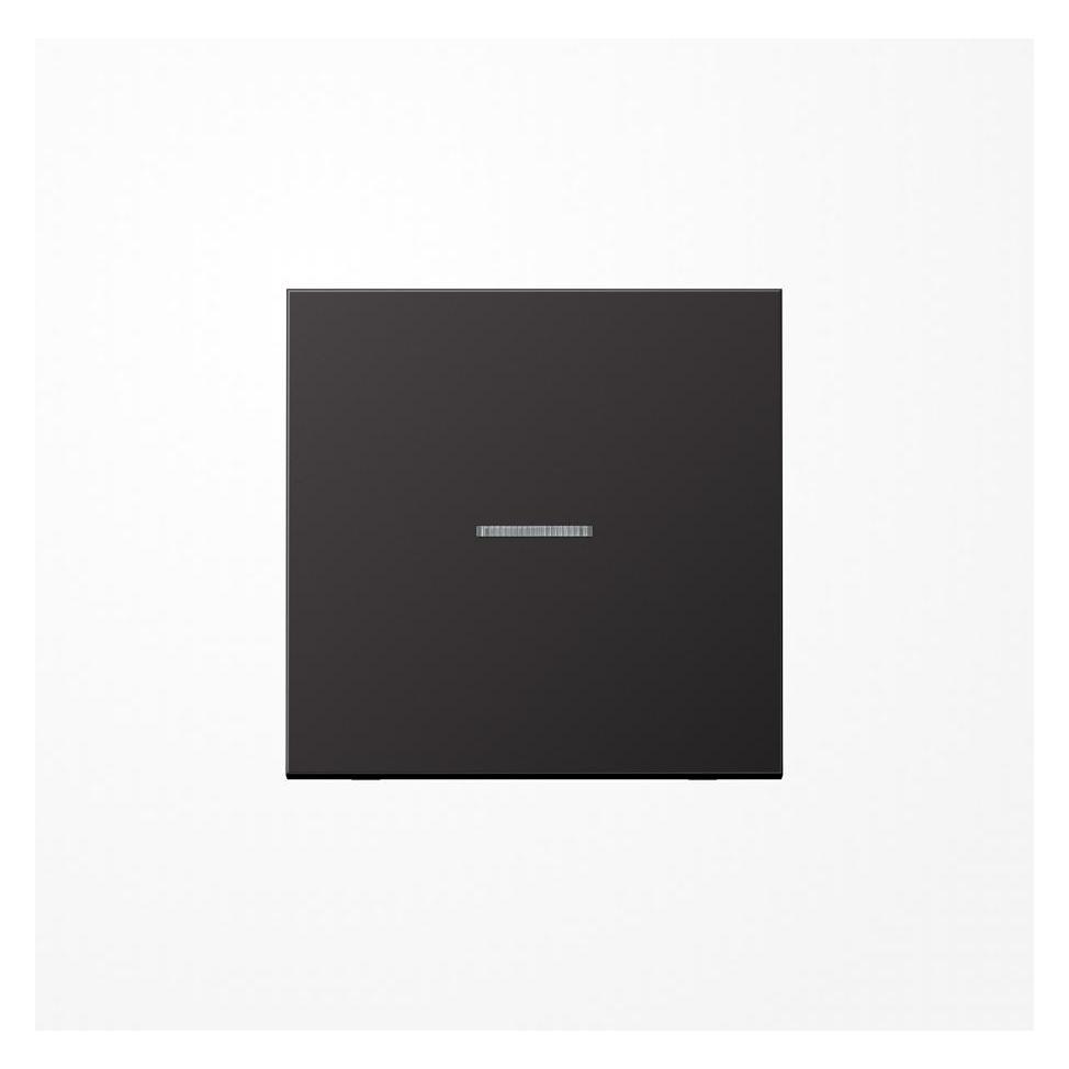 Albrecht Wippe Lichtleiter AL2990KO5D LS Aluminium dark (AL2990KO5D)