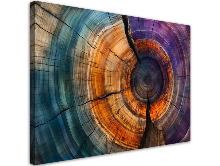 Feeby Leinwandbild Baumringe Abstraktion 90x60cm, Mehrfarbig, Baum/Pflanze/Natur, Rechteckig, 90x60 cm, Bilder & Rahmen, Bilder, Leinwandbilder