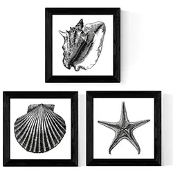 POSTER Set Mit 3 Meerestiere Schwarzweiß 25X25cm Rahmenlos