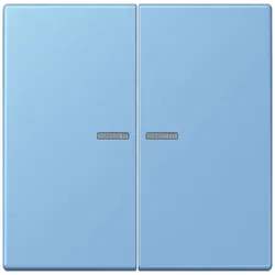 Jung Wippe mit Lichtleiter LC 102 KO5 256