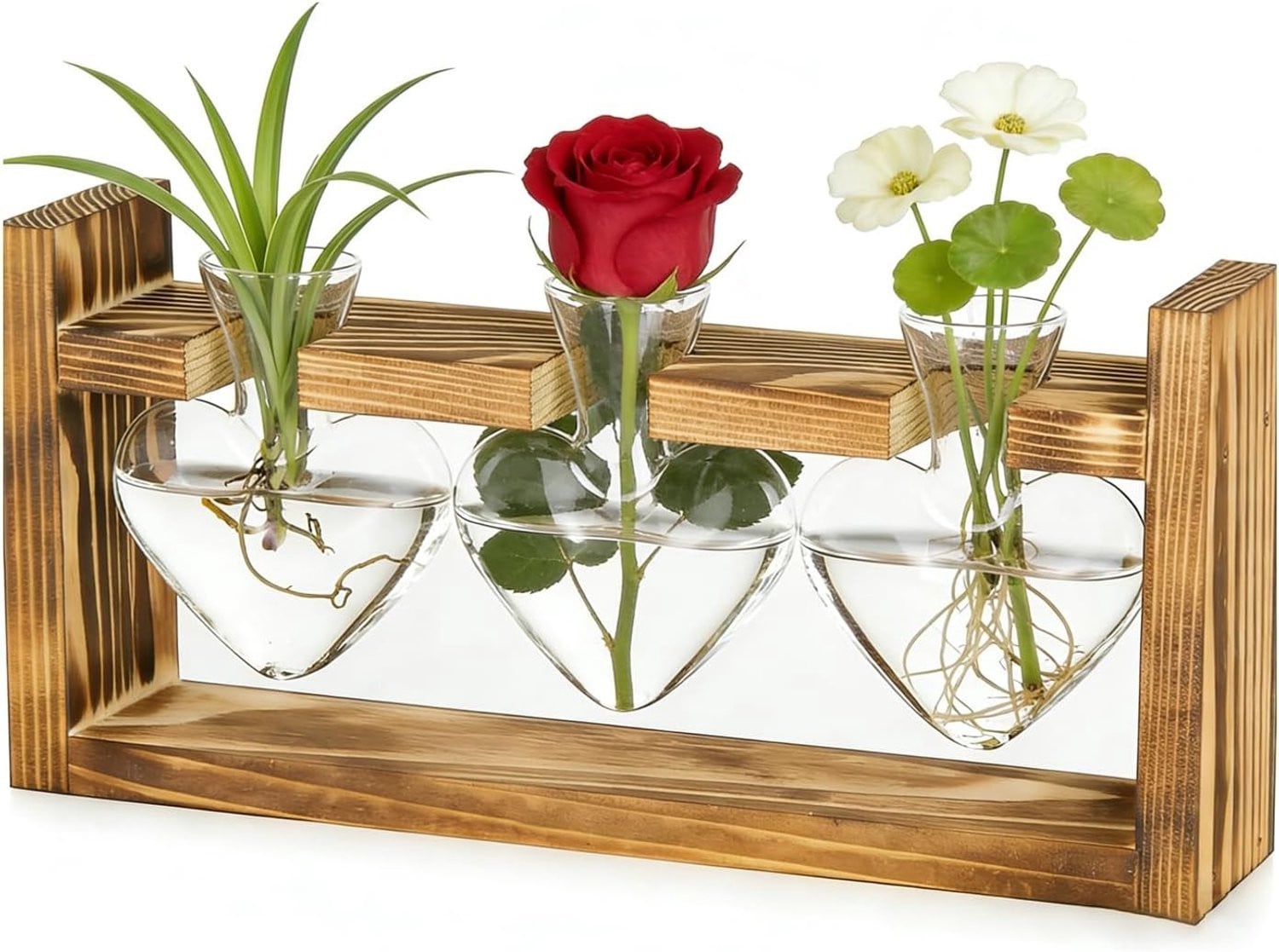 Glazen planten propagatiestation met houten standaard voor thuis en kantoor