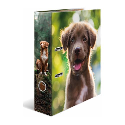 HERMA Ordner A4 Karton Hund