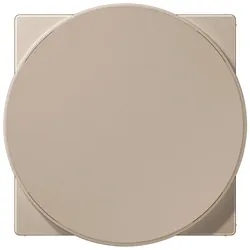 Jung Abdeckung A WC MAG CH