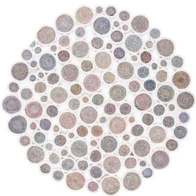 SAFAVIEH Handmade Cape Cod Agnela Circles Rug