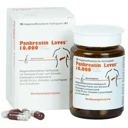 Pankreatin Laves 10.000 Ph.eur.-Einheiten 50 ST