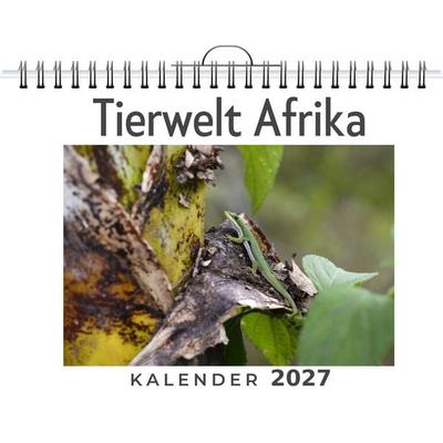Tierwelt Afrika