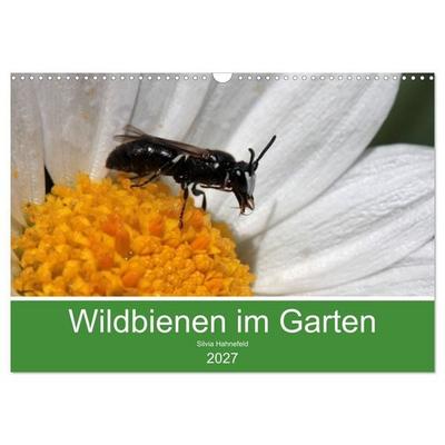Wildbienen im Garten (Wandkalender 2027 DIN A3 quer), CALVENDO Monatskalender
