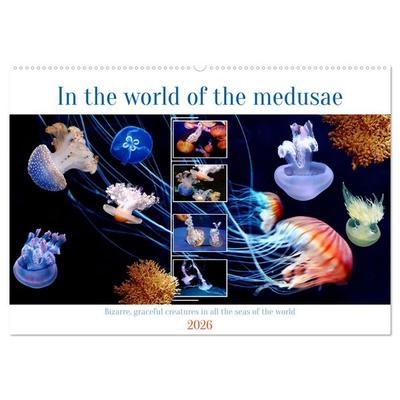In the world of the medusae (Wall Calendar 2026 DIN A2 landscape), CALVENDO 12 Month Wall Calendar