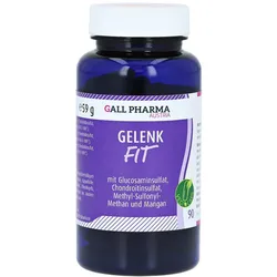 Gelenk-fit GPH Kapseln 90 St