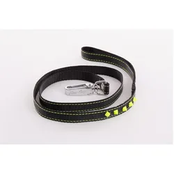 Martin Sellier Leine für Hunde fluoreszierend (10, 100, Hund, Spazieren), Halsband + Leine