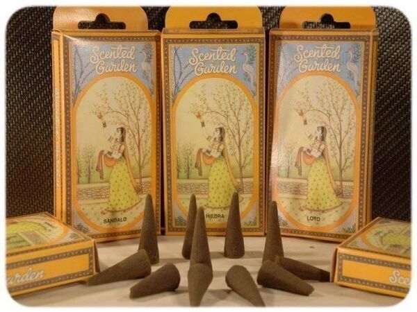 Radhe Shyam Natürlicher Kegel-duftender Garten-Duft Duftender Garten