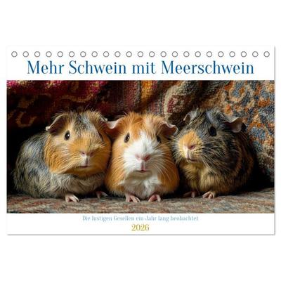 Mehr Schwein mit Meerschwein (Tischkalender 2026 DIN A5 quer), CALVENDO Monatskalender