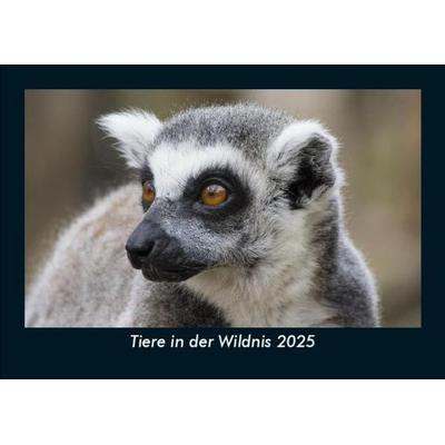 Tiere in der Wildnis 2025 Fotokalender DIN A5
