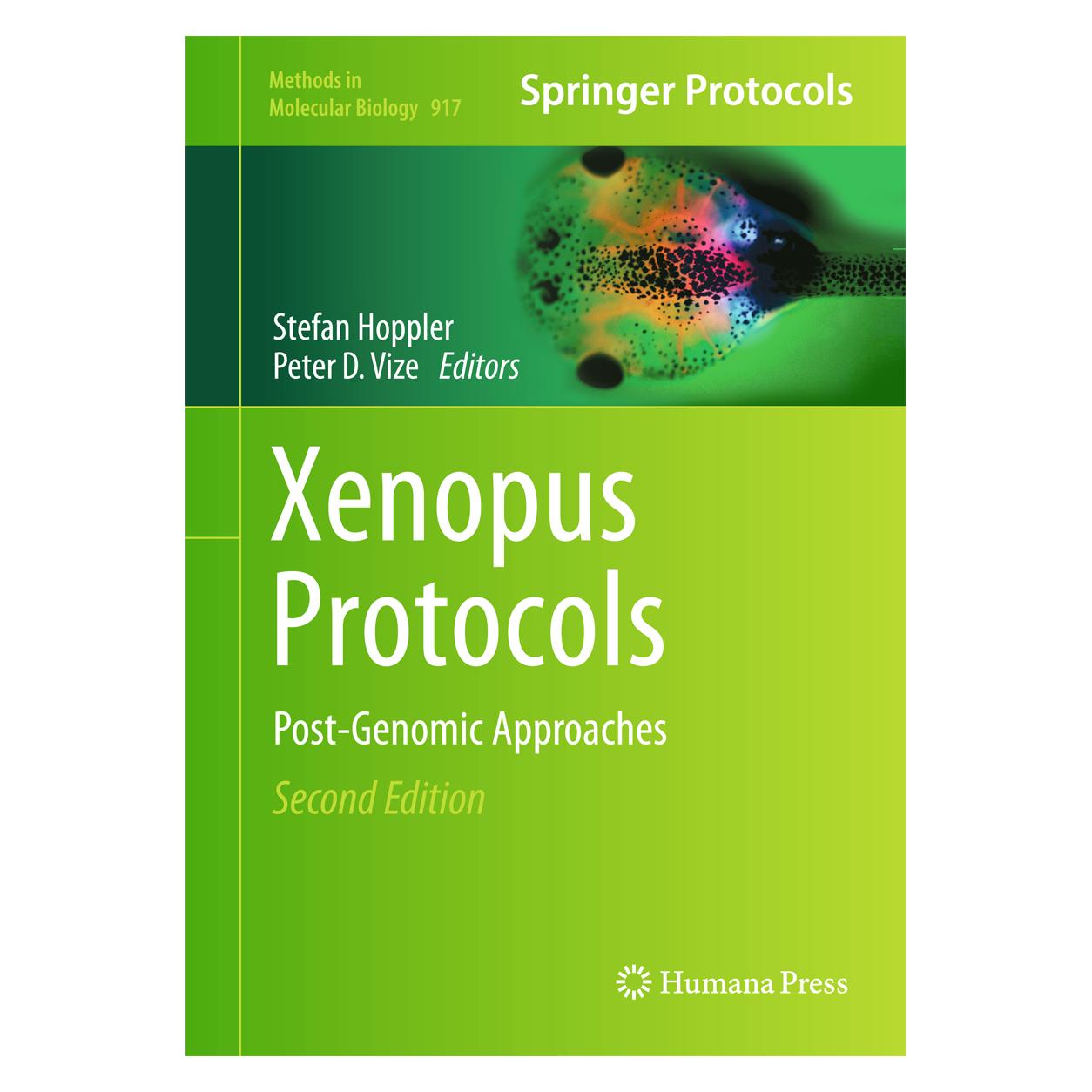 Springer Xenopus Protocols (Englisch, Hardcover, Peter Vize, Stefan Hoppler) (35100129)